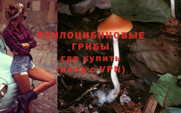 крисы Алексин