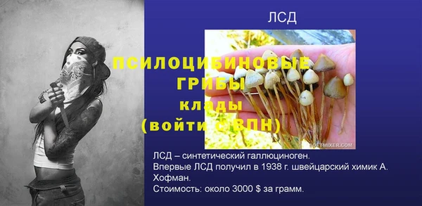 мдпв Новозыбков