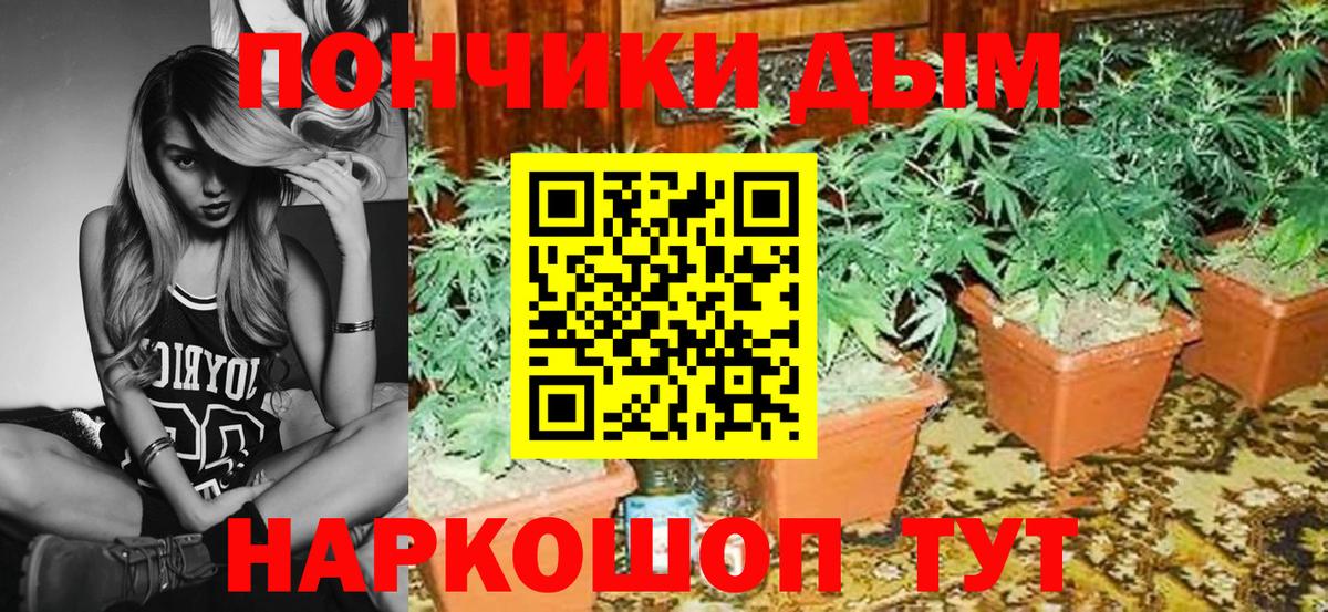 Марихуана сатива  Вход с VPN  Бошки марихуана LSD WEED  Шишки марихуана LSD WEED  Татарск 